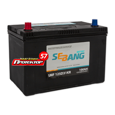 Аккумулятор SEBANG Smf 100 А/ч L+ прямая Выносные