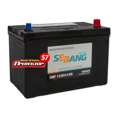 Аккумулятор SEBANG Smf 100 А/ч R+ обратная Выносные