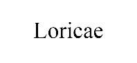 Шины Loricae