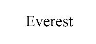 Шины Everest