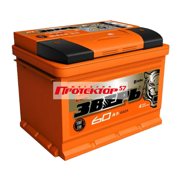 Аккумулятор ЗВЕРЬ EFB 60 А/ч L+ Прямая полярность EN640A 242x175x190 Стандартные