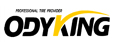Odyking