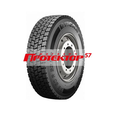TIGAR ROAD AGILE D