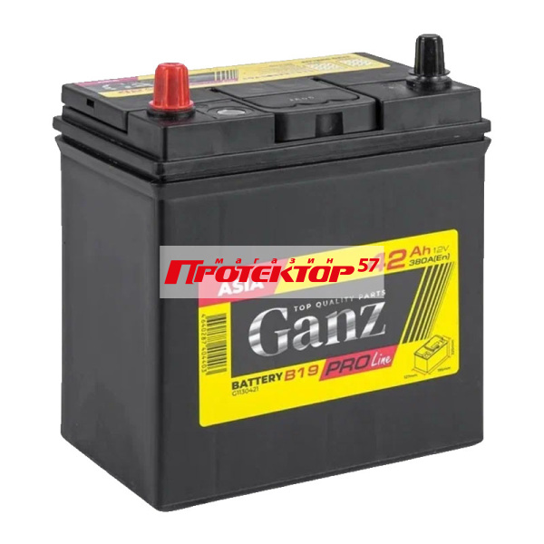 Аккумулятор GANZ Pro-Line 42 А/ч L+ прямая EN380A 195x127x220 Выносные