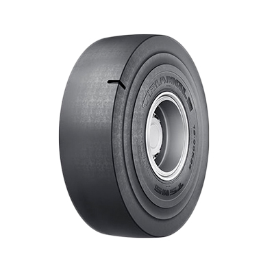 TSMS