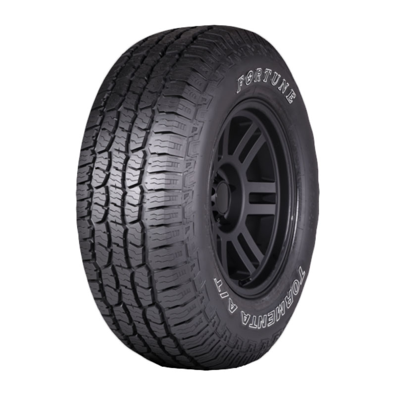 FSR308
