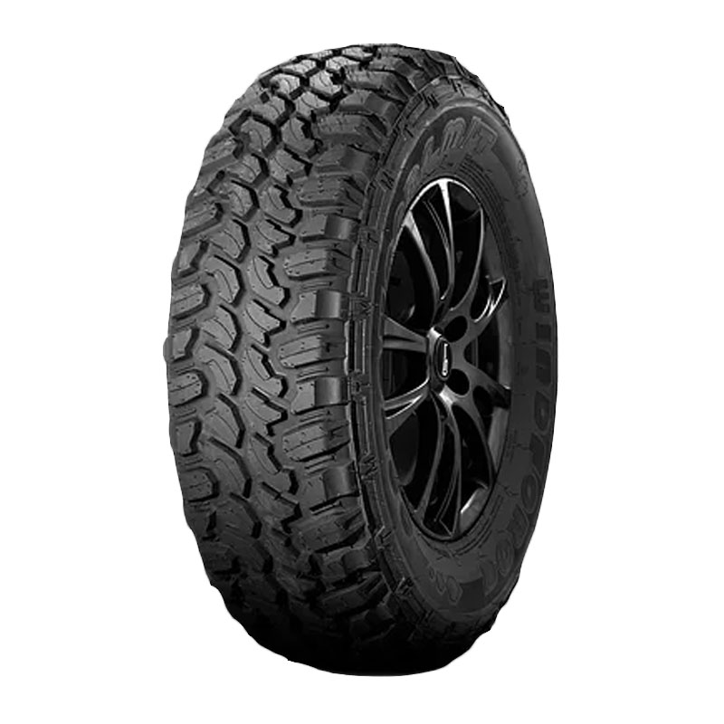 Windforce Catchfors M/T