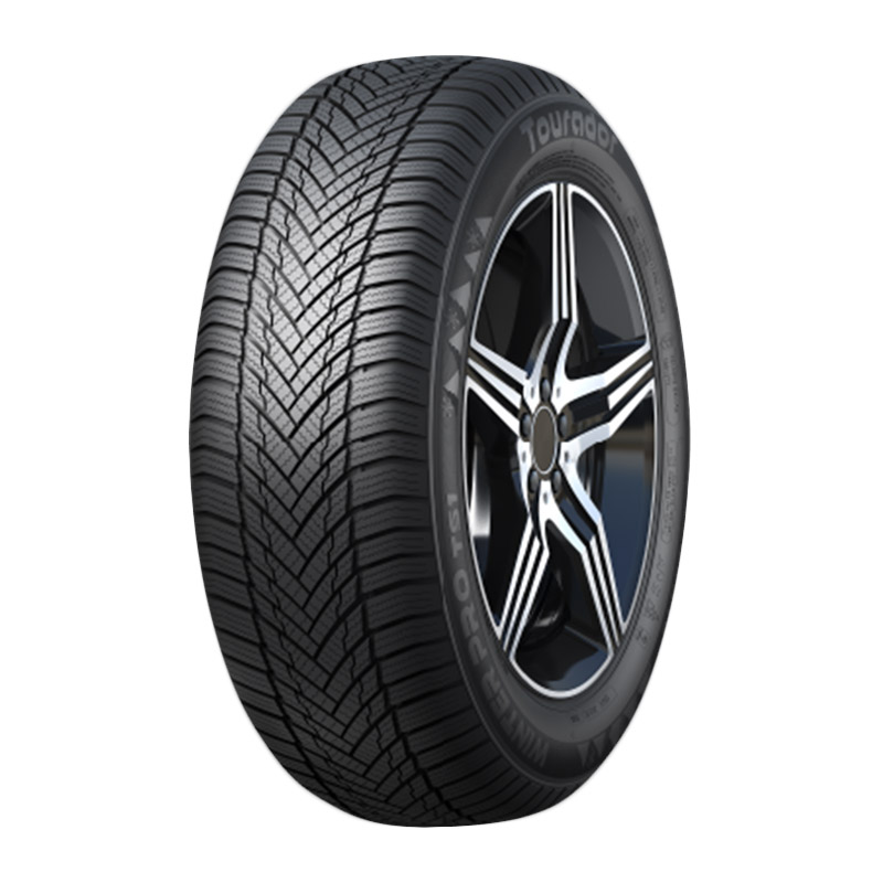WINTER PRO TS1