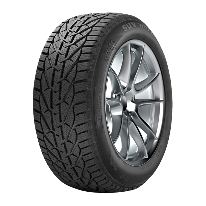 Winter SUV 
