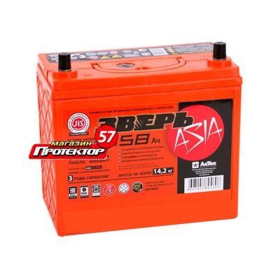 Аккумулятор АКТЕХ ЗВЕРЬ Asia 58 А/ч R+ обратная EN600A 238x129x225 Стандартные