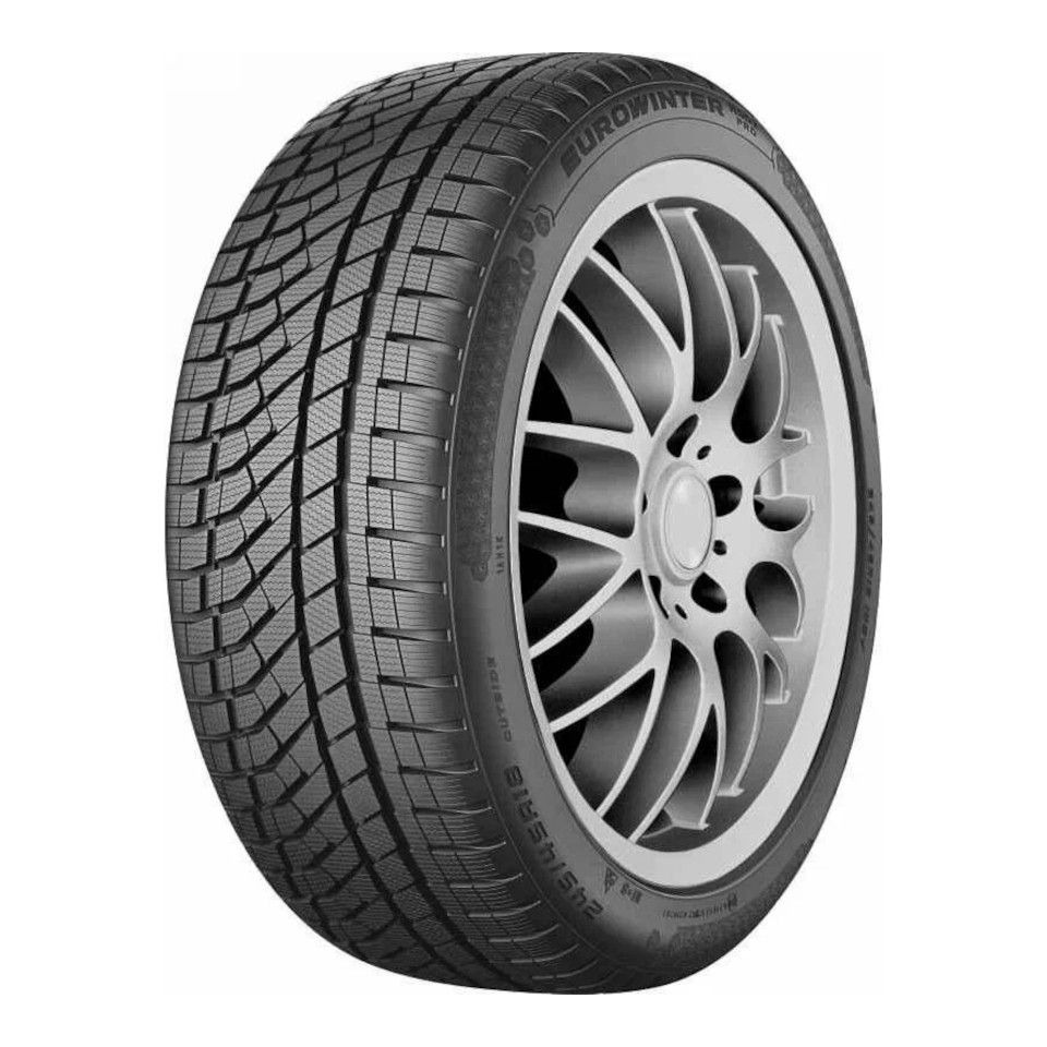 Eurowinter HS02Pro (старше 3-х лет)