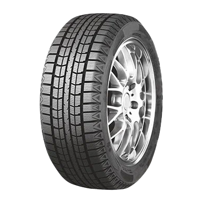 BS66