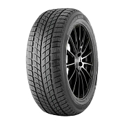А/шина Doublestar DW09 (старше 3-х лет) 255/55R19 107H TL