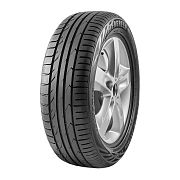 А/шина Evergreen DYNACONTROL ES880 225/45R19 96W TL