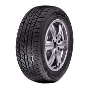 А/шина 205/45R16 Roadx Frost WH01 87V TL