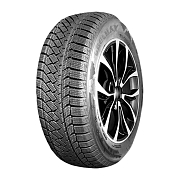 А/шина Delmax Ultima Snow 205/55R16 94T TL