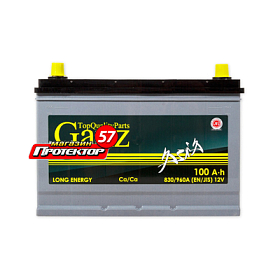 Аккумулятор GANZ Asia 100 А/ч R+ обратная EN830A 304x173x220 Стандартные
